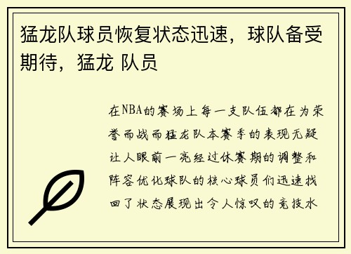 猛龙队球员恢复状态迅速，球队备受期待，猛龙 队员