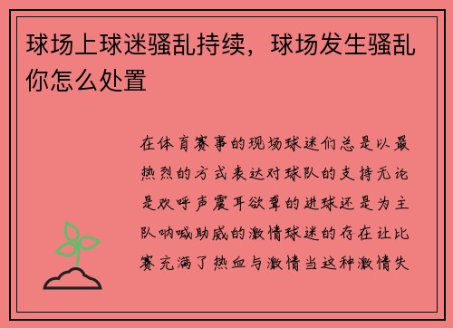 球场上球迷骚乱持续，球场发生骚乱你怎么处置